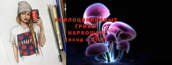 дмт Горно-Алтайск