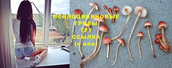 кокс Горняк