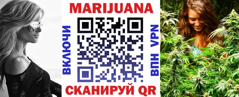 дарк нет официальный сайт  как найти   Чекалин  Бошки Шишки семена 